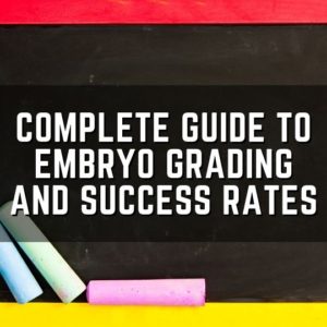 complete guide to embryo grading and success rates