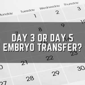 day 3 or day 5 embryo transfer?