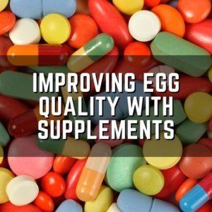 improving egg quality with supplements