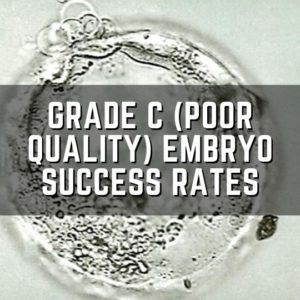 grade c embryo success rates