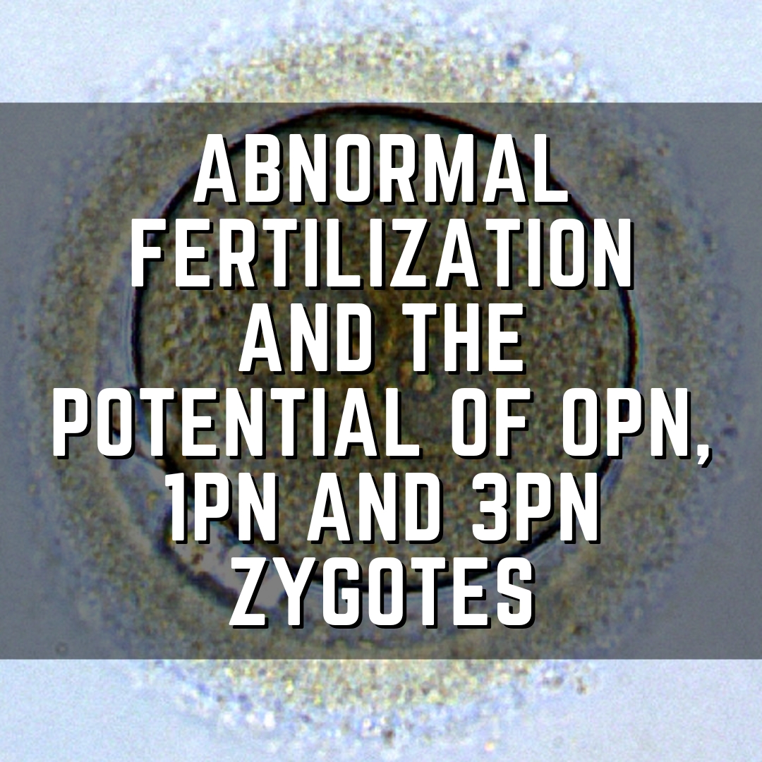 Abnormal fertilization and the potential of 0PN, 1PN and 3PN zygotes