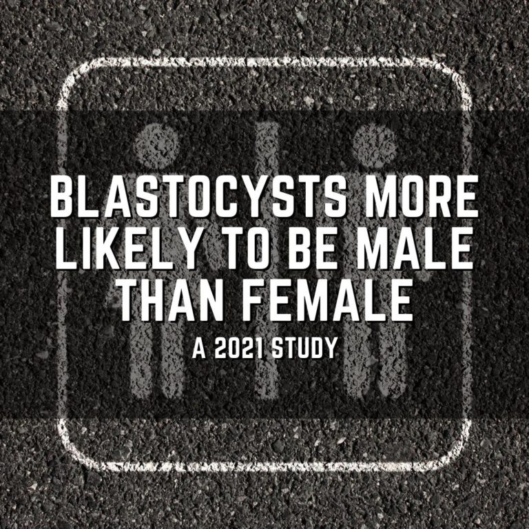 Blastocysts more likely to be male than female