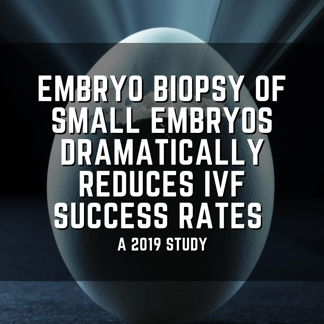 Embryo biopsy of small embryos dramatically reduces IVF success rates