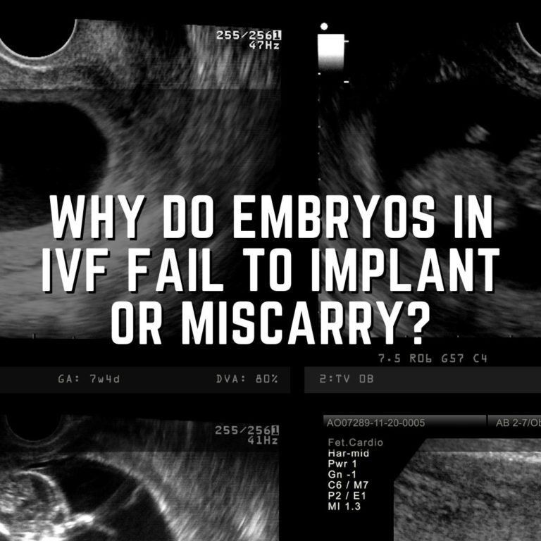 why do embryos fail to implant or miscarry?