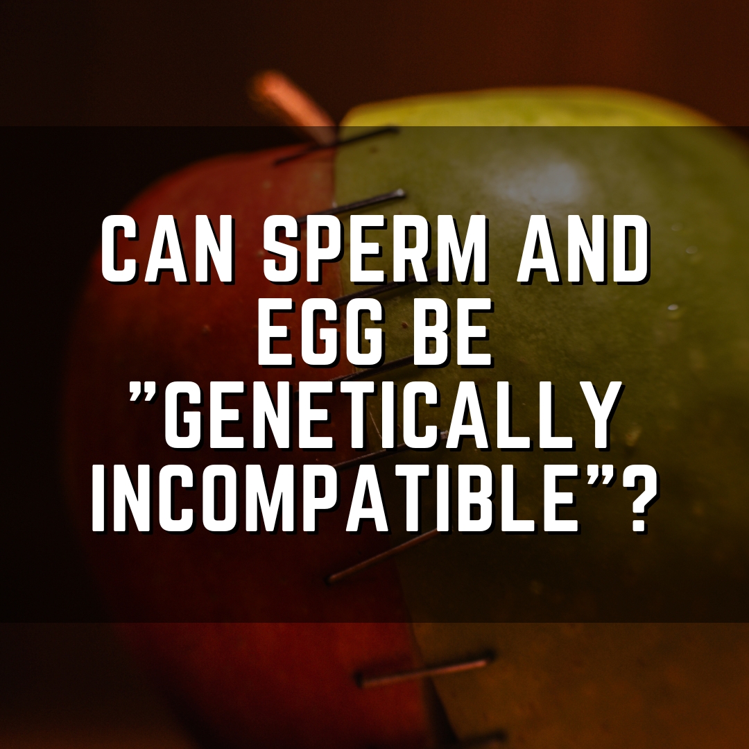 Can sperm and egg be "genetically incompatible"?