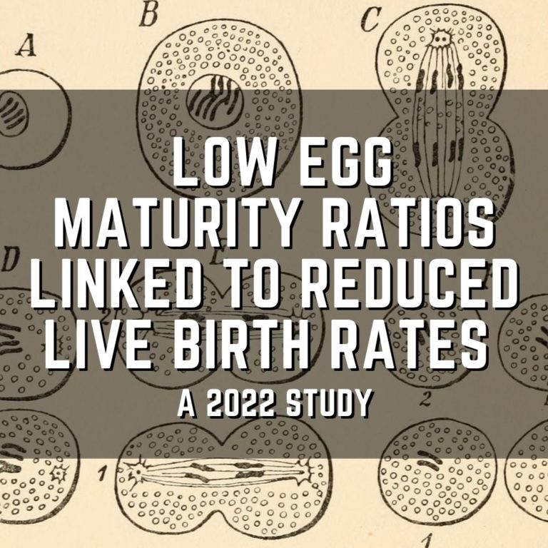 Low egg maturity ratios linked to reduced live birth rates