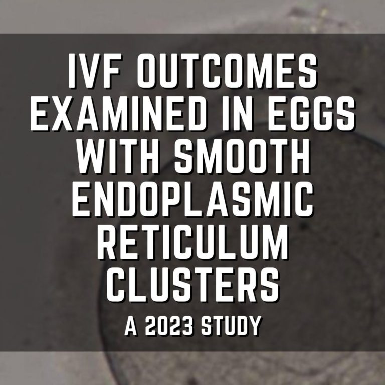 IVF outcomes examined in eggs with smooth endoplasmic reticulum clusters