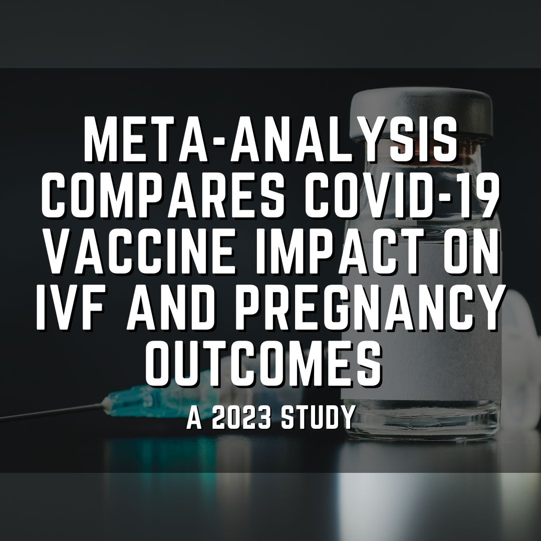Meta-analysis compares COVID-19 vaccine impact on IVF and pregnancy outcomes