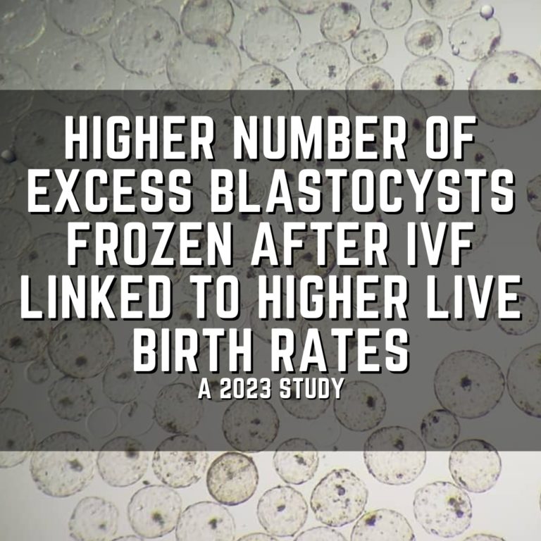 Higher number of excess blastocysts frozen after IVF linked to higher live birth rates