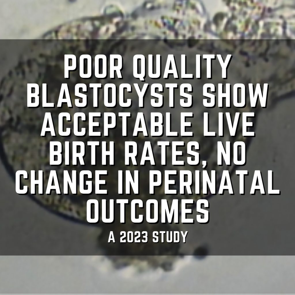 Poor quality blastocysts show acceptable live birth rates, no change in perinatal outcomes