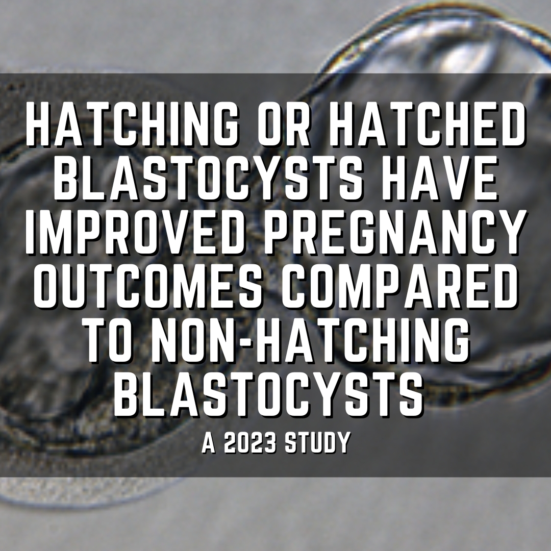 Hatching or hatched blastocysts have improved pregnancy outcomes compared to non-hatching blastocysts