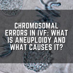 Chromosomal errors in IVF: What is aneuploidy and what causes it?