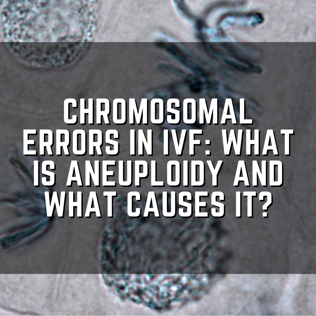 Chromosomal errors in IVF: What is aneuploidy and what causes it?