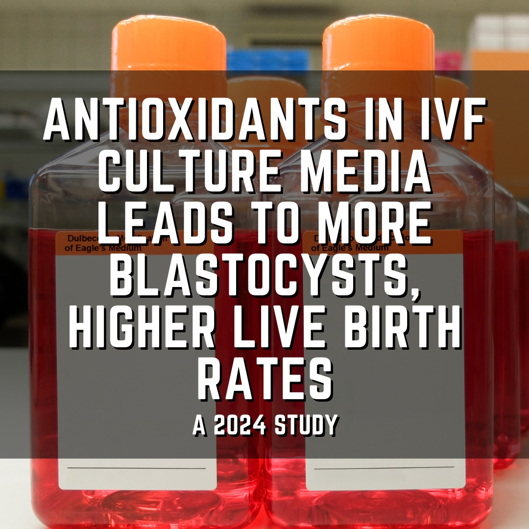 antioxidants in IVF culture media leads to more blastocysts, higher live birth rates