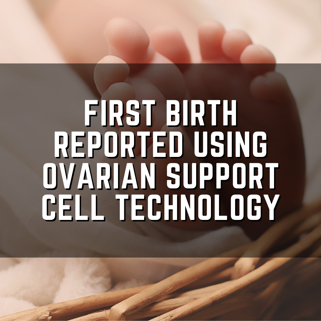 First birth reported using ovarian support cell technology