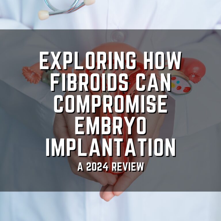 Exploring how fibroids can compromise embryo implantation