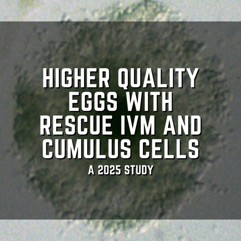 Higher quality eggs with rescue IVM and cumulus cells