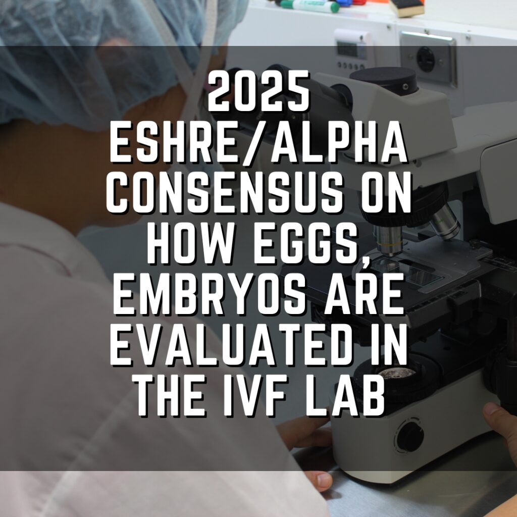 2025 ESHRE/ALPHA consensus on how eggs, embryos are evaluated in the IVF lab