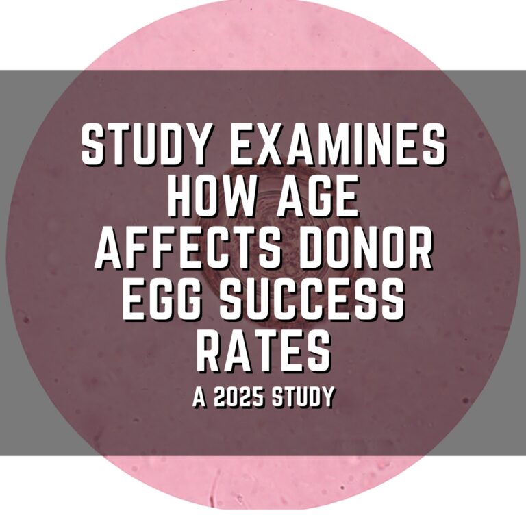 Study examines how age may affect donor egg success rates
