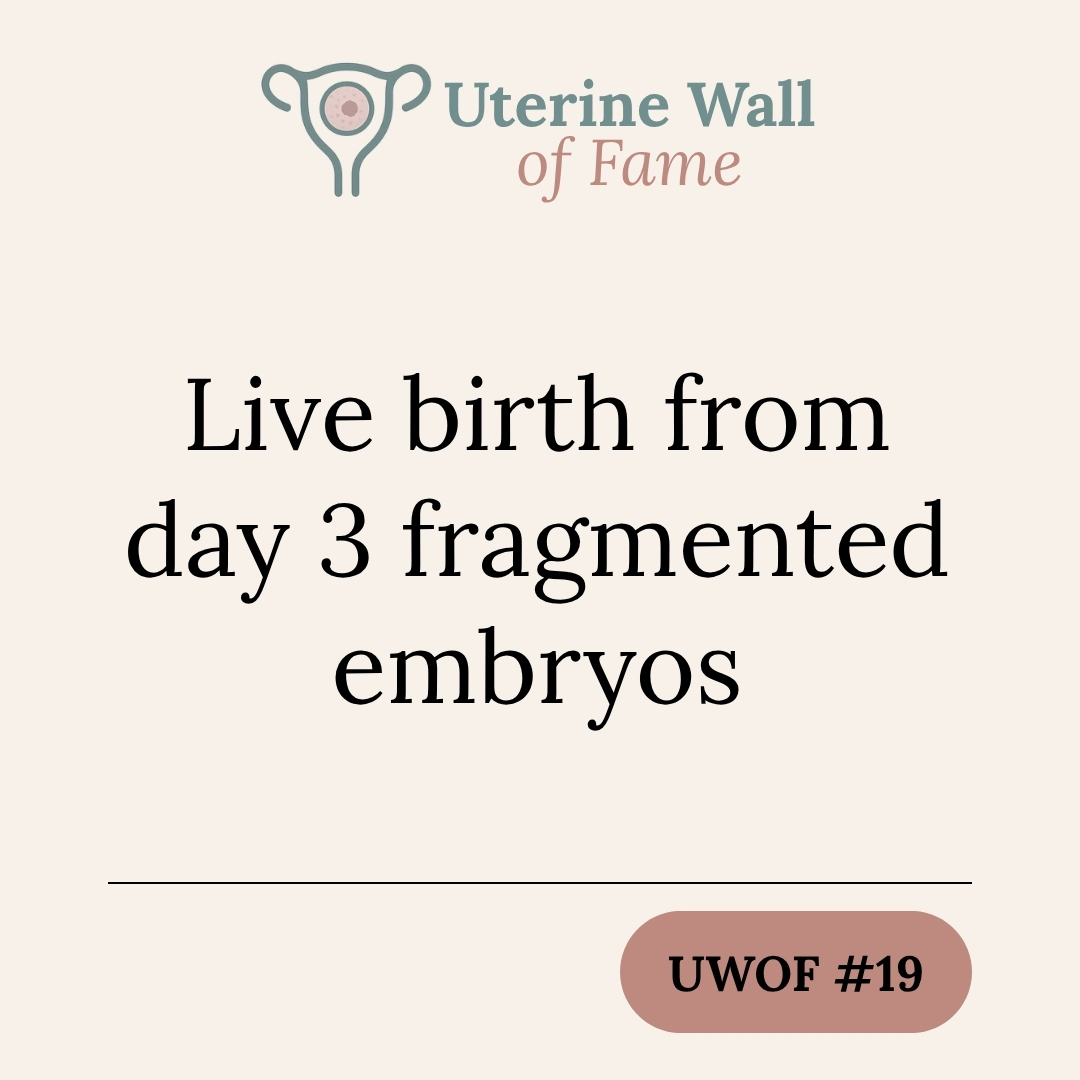 UWOF #19: Live birth from day 3 fragmented embryos