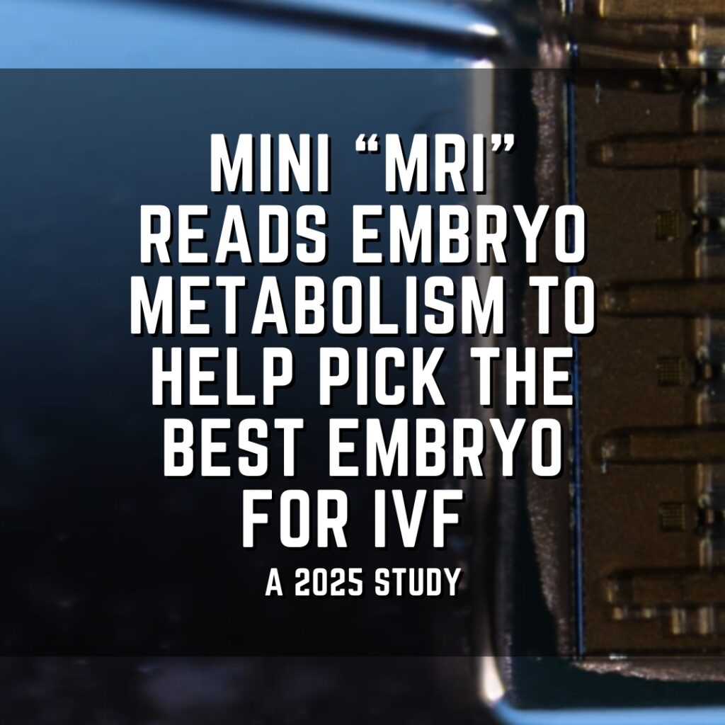 Mini &ldquo;MRI&rdquo; reads embryo metabolism to help pick the best embryo for IVF