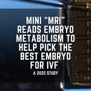 Mini &ldquo;MRI&rdquo; reads embryo metabolism to help pick the best embryo for IVF