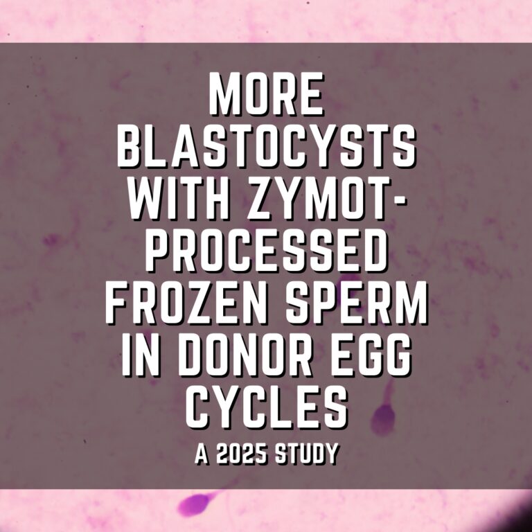 More blastocysts with Zymot-processed frozen sperm in donor egg cycles