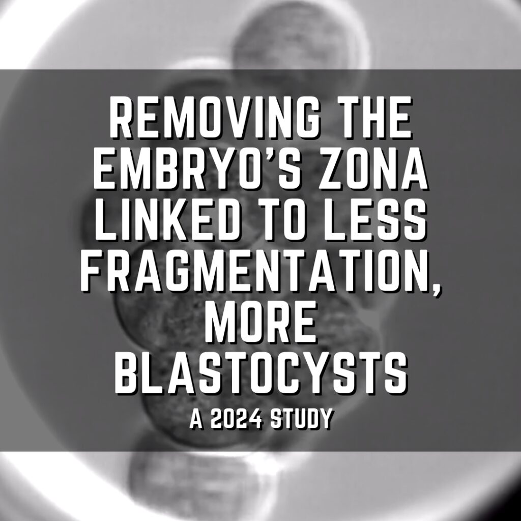 Removing the embryo&rsquo;s zona linked to less fragmentation, more blastocysts