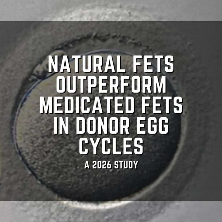 Natural FETs outperform medicated FETs in donor egg cycles