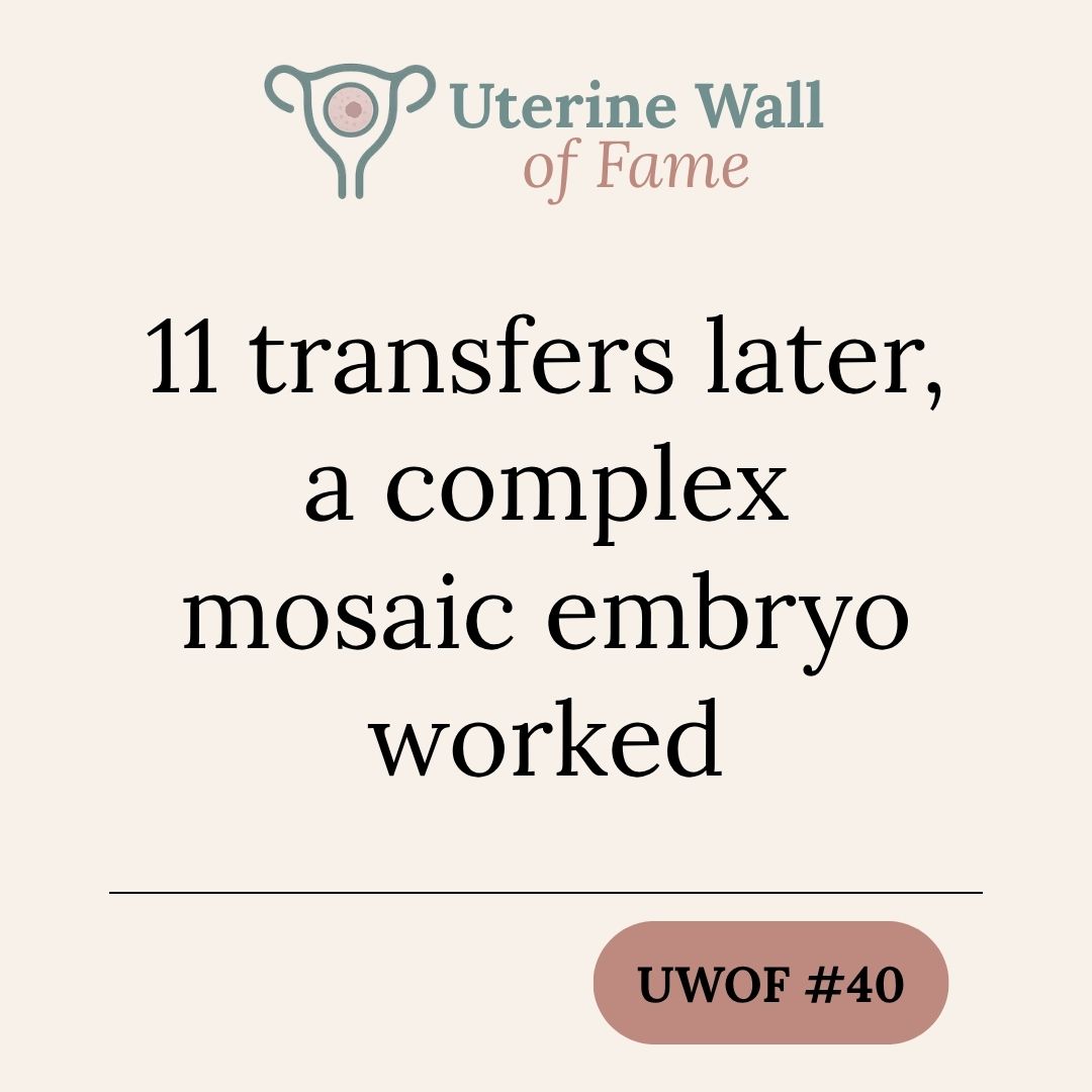 UWOF#40: 11 transfers later, a complex mosaic embryo worked