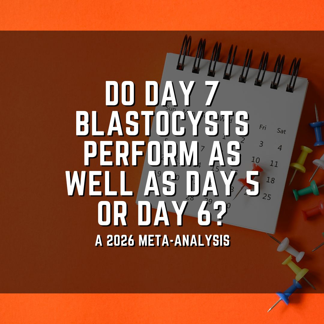 Do day 7 blastocysts perform as well as day 5 or day 6?